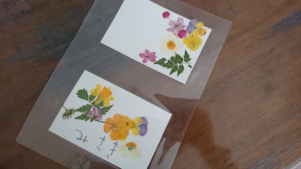 YuYuカレッジの押し花体験で作った葉書。