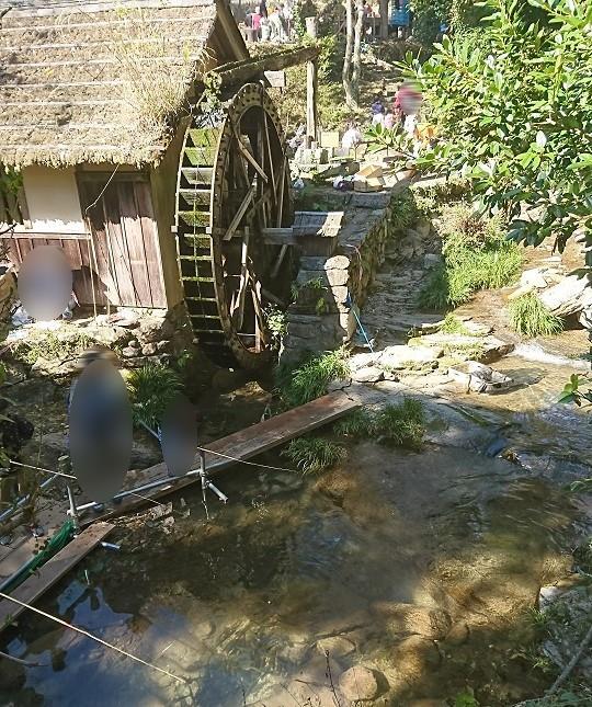 藁葺屋根の小屋に再建された水車。水車の前ではアメノウオ釣りが行われている。