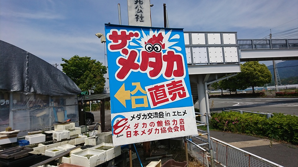 「メダカの館協力店」「日本メダカ協会会員」と書かれた看板。